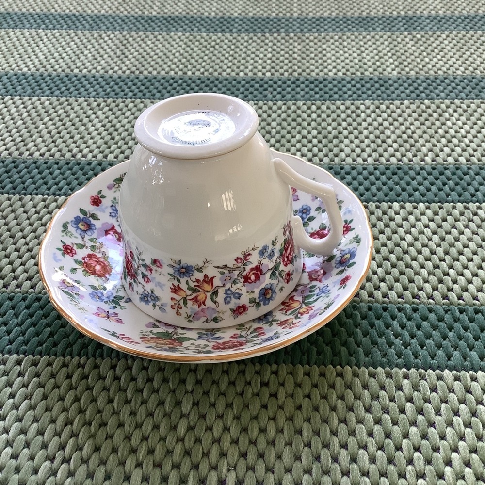 Staffordshire Springtime Fine Bone China Teacup Saucer Set Floral Gold Rim